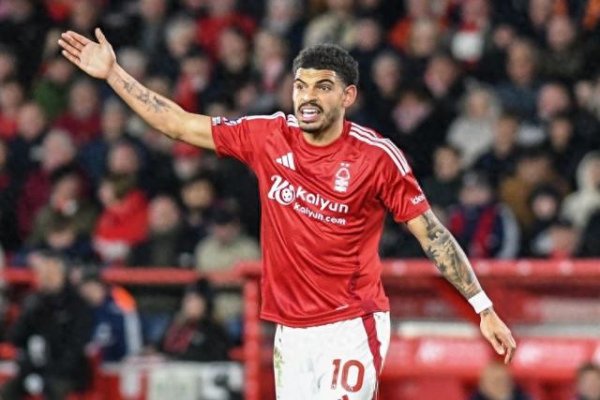 Bài đăng: Gibbs White đã trở l