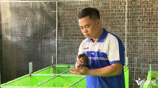 Nông dân hồi sinh chim hoàng g
